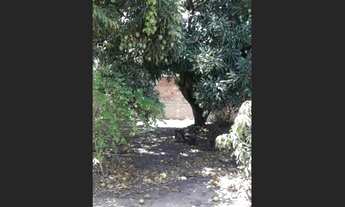 Imagem 2: Terreno Mosqueiro 24x24 - Próx. Da Orla Pôr Do Sol