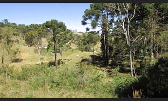 Imagem 4: Sitio em Extrema MG