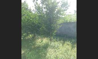 Imagem 3: EXCELENTE OPORTUNIDADE! VENDO SÍTIO, Povoado Comum ( EXTREMOZ). 20X100. VALOR: 78 MIL