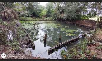 Imagem 7: 17 alqueires com 15 abertos pronta fica a 30 km de Castanhal-PA por R$1.300.000