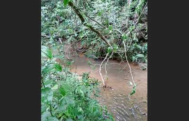 Imagem 7: Fazendinha de 11 há em São Tiago