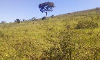 Imagem 7: FAZENDA DE 164,5 HECTARES