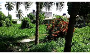 Imagem 2: Casa com terreno e 2.000m² em Barra de Jangada