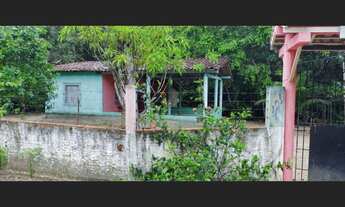 Imagem 4: Sítio por R$79.999 mil reais 150x60 sentido Marapanim