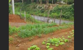 Imagem: Vende se sitio