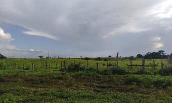 Imagem 3: R$8 milhões fazenda com 200 alqueires com 154 alqueires de pasto