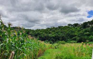 Imagem 7: Terreno a venda 150.000