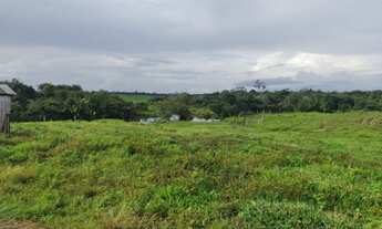 Imagem 2: R$8 milhões fazenda com 200 alqueires com 154 alqueires de pasto