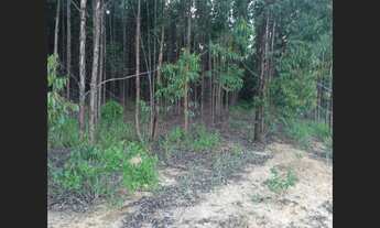Imagem 3: Fazenda de 165 ha 3m Caetanopolis