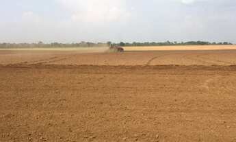 Imagem: 135 Alqs Com Soja Ótima Logística Região