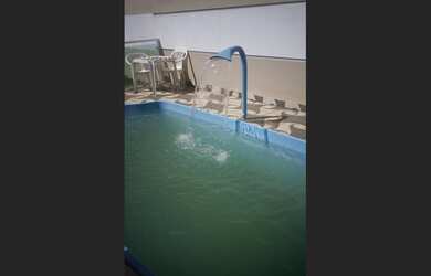 Imagem 5: Princesinha do lazer