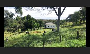 Imagem: Fazenda de 190 há em São João Del Rei