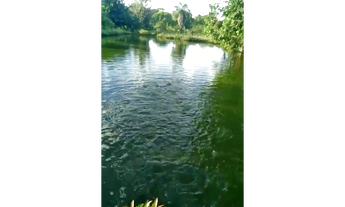 Imagem 5: 100 Alqs Formada Beira Rio Região Barra do Ouro TO