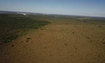 Imagem: 888 Alqs Arrendamento Disponivel Pra Soja