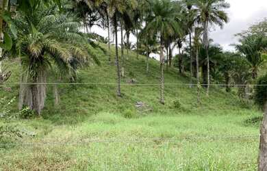 Imagem 4: Fazenda em Nazaré das farinhas-Ba