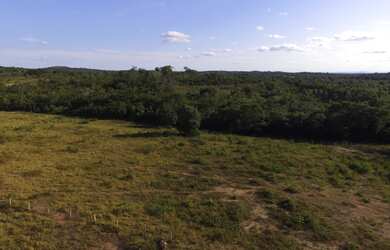 Imagem 3: Fazenda com 656 Hectares, toda documentada boa logística 99 km de Cuiabá MT
