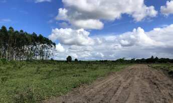 Imagem 2: Chácara de 1500m² por R$45.000,00 próximo ao Canta Galo - Alcobaça, Bahia