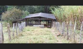 Imagem 5: Vende-se Sítio em Caeté/MG – 31 hectares