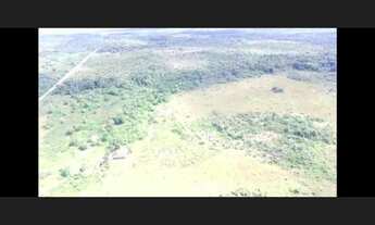 Imagem 6: Fazenda com 112,5 hectares em Colares 80% aberta por R$600 mil
