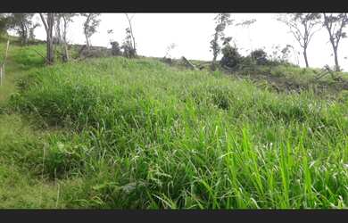 Imagem 2: Vendo 5 alqueres em Santa eliza de aldeia municipio de Cuparaque mg