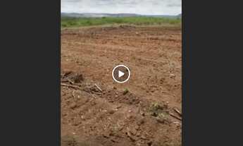 Imagem 4: Loteamento nova assare