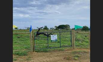 Imagem 6: Fazendinha de 20 mil mt em Paraopeba