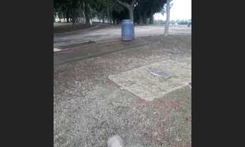 Imagem: Vendo Jazigo Cemitério Parque das Acácias