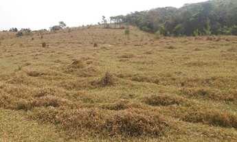 Imagem 3: Fazenda de 130 ha em Oliveira