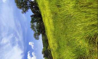 Imagem: Terreno de 13.5 há com cachoeira em Oliveira