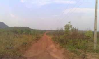 Imagem 3: 361 Alqs Pra Pecuária ou Eucalípto Ótima Vegetação Porto Alegre TO