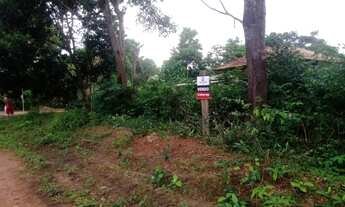 Imagem: Terreno em Belterra