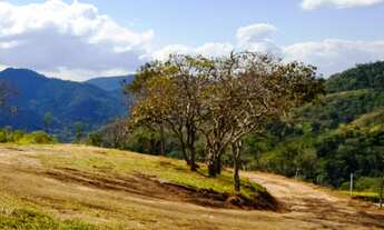 Imagem 4: Terrenos em Condomínio de Alto Padrão - Pedro do Rio - Petrópolis/RJ