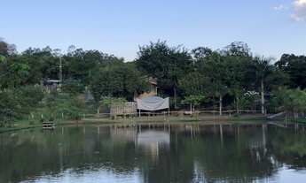 Imagem 2: Sitio em São José do Rio Preto 10 alqueires