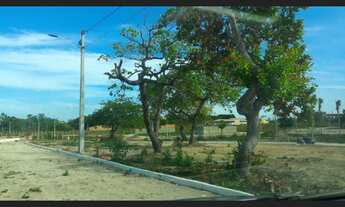 Imagem 5: Lotes do Parque Dom Pedro em Itaitinga