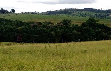 Imagem 4: Fazenda de 110 há em Itatiaiuçu