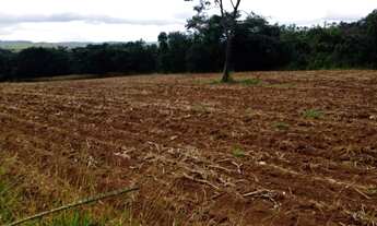 Imagem 5: Fazenda de 110 há em Itatiaiuçu