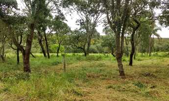 Imagem 7: Lote de 450 m² em Paranapanema Loteamento Mae Natureza