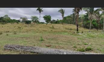 Imagem 5: Fazenda com 1.050 Hectares, com 680 Hectares aberta e formada em Chapada dos Guimaraes MT