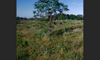 Imagem 3: Terreno de 6.000m² em área estratégica de Caldeirão Grande