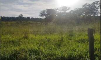 Imagem: Fazenda em parauapebas