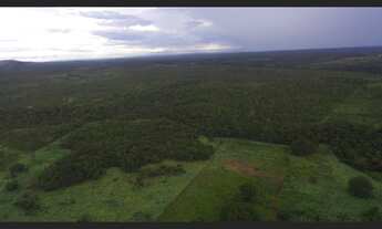 Imagem 3: 292 Alqs Dupla Aptidão Beira Rodovia Região São Valério TO