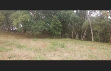 Imagem 6: Sítio de 3 há em Carmopolis de Minas MG