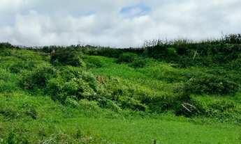Imagem: Terreno de 10.600 m² em área de altitude