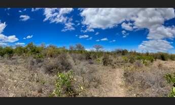 Imagem 2: Terreno de 12.000m2 para Venda em Jacobina