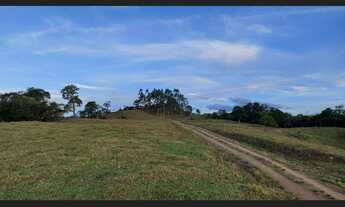 Imagem 6: Fazenda para Venda 86 hectares para Pecuária em Presidente Nereu SC