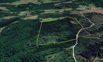 Imagem 2: ÁREA RURAL LOCALIZADA NO JUÁ (ENTRE CAXIAS DO SUL E SÃO FRANCISCO DE PAULA