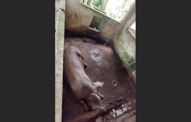 Imagem 5: 150 hectares fazendinha pronta documentada por R$3 milhões