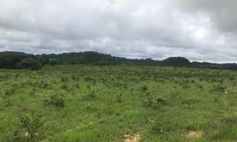 Imagem 2: 93 Alqs Ótima Água Terra e Logística Região Ipixuna PA