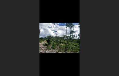 Imagem 3: Terreno de 15 há em Passa Tempo MG