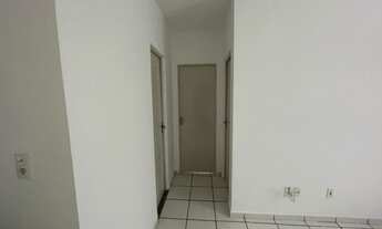 Imagem 7: Solaris Celeste II